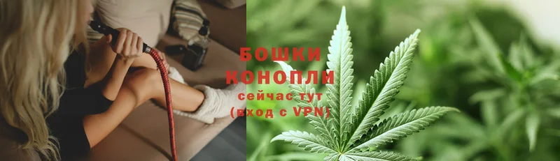 ссылка на мегу зеркало  хочу   Агрыз  Бошки марихуана OG Kush 